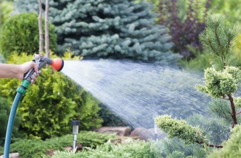 Comment faire des économies d’eau en arrosant son jardin ?
